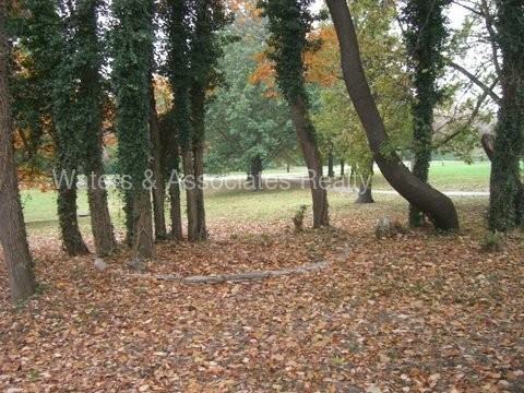 1155 Martin Manor Pl - Photo 2 of 6