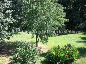 237 Santa Rosa Ct - Photo 2 of 22