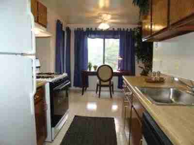 Cinnamon Run - Photo 2 of 8