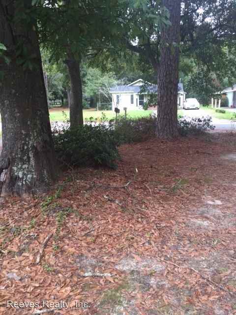 705 Lundy Ln - Photo 3 of 12