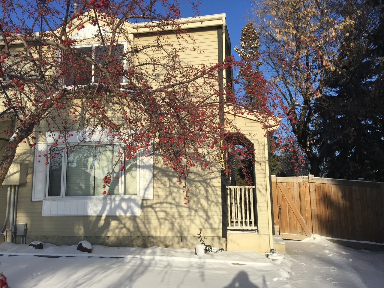 1049 Village Drive - Photo 2 of 32