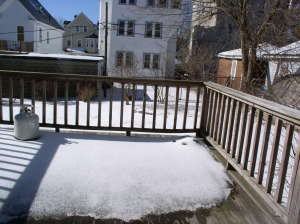 36 Hewlett Street - Photo 2 of 4