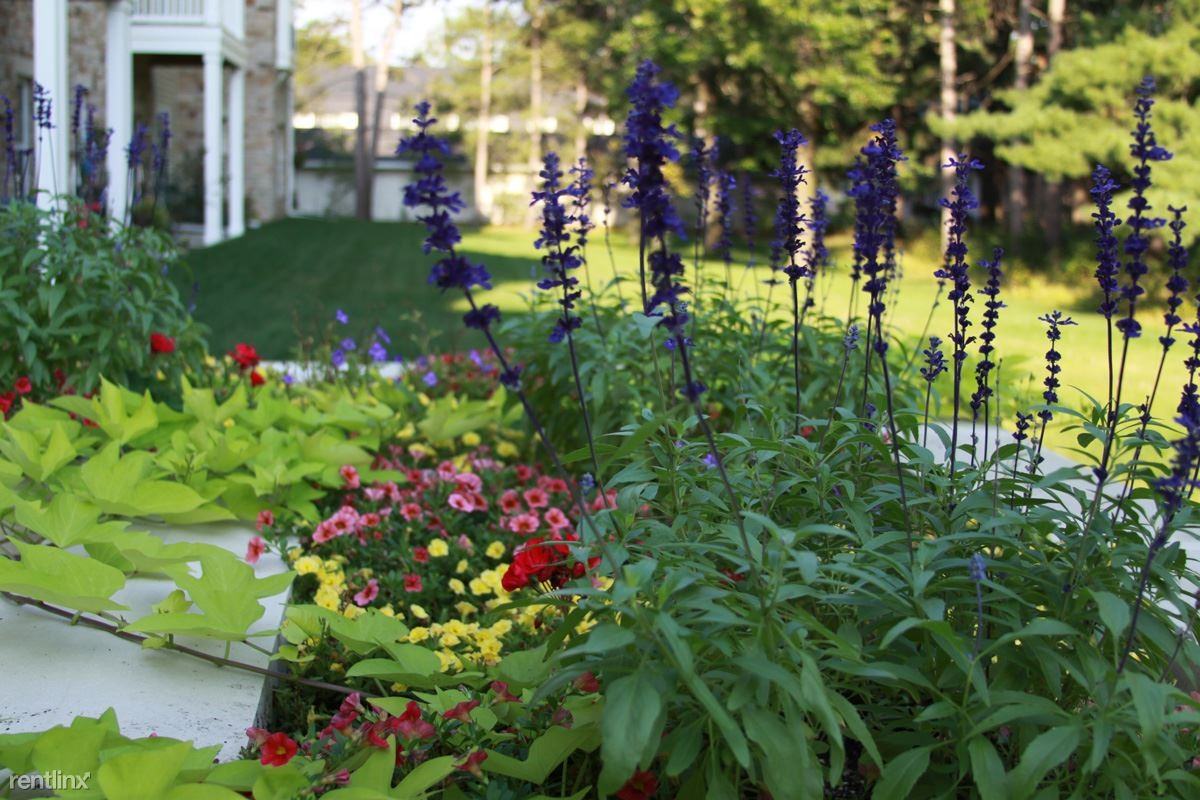 The Pines at Mount View Senior Apartments - Photo 3 of 7