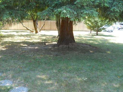 6111 Ventura St - Photo 2 of 8