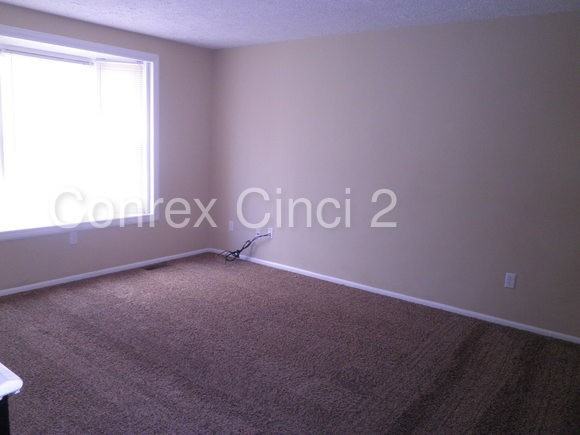 10293 Hawkhurst Dr - Photo 2 of 13