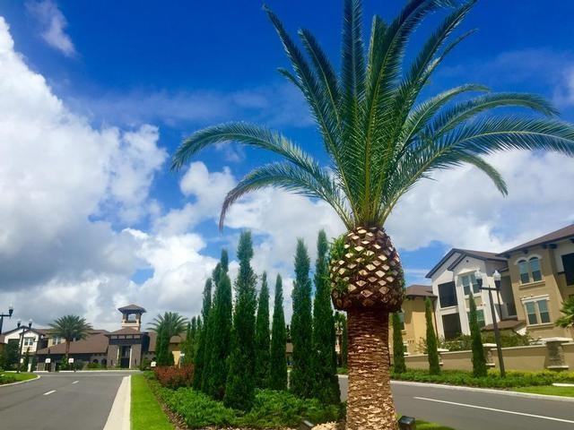 1480 Hammock Ridge Rd - Photo 2 of 4