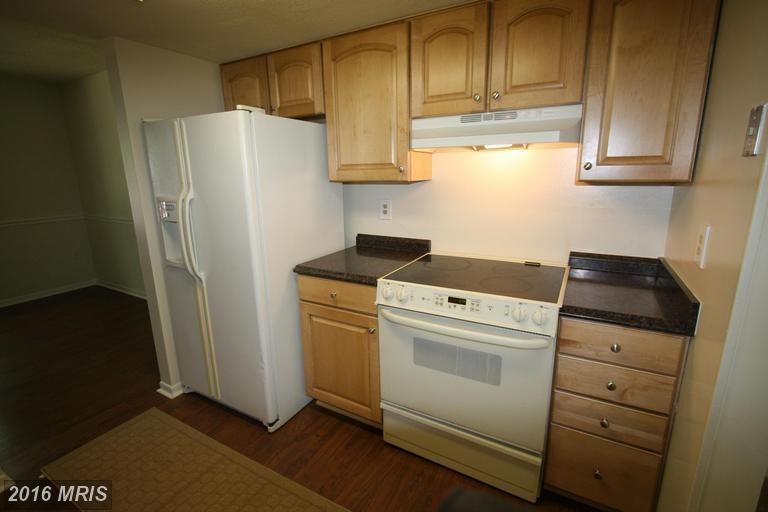 744 Match Point Dr - Photo 3 of 13