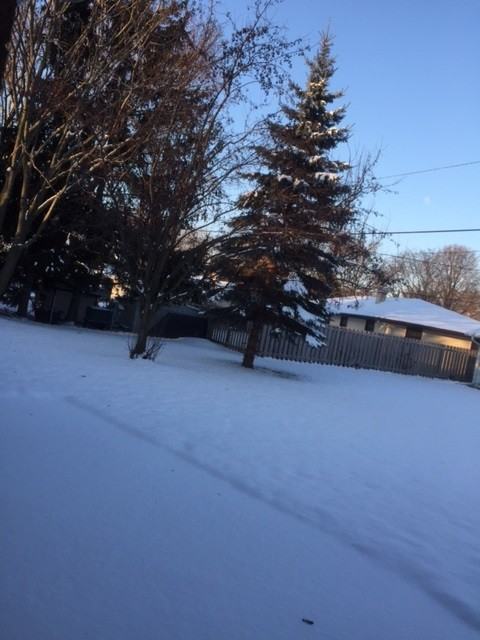 1757 Beaver Dam Dr - Photo 2 of 12