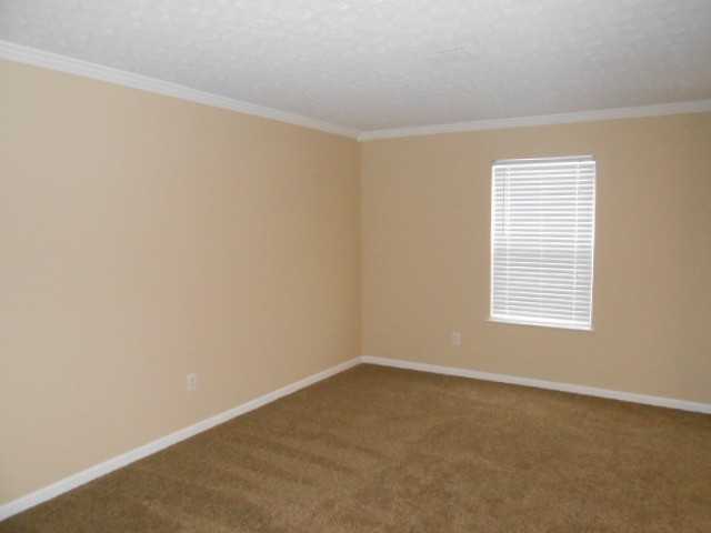 1165 Onslow Dr - Photo 3 of 15