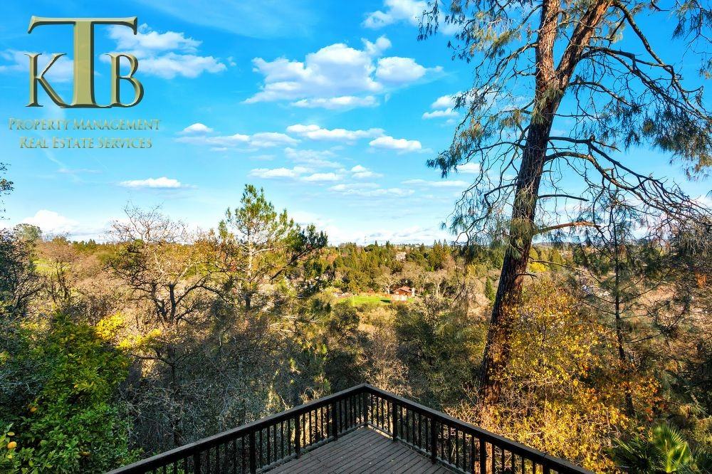 128 Canyon Rim Dr - Photo 3 of 29