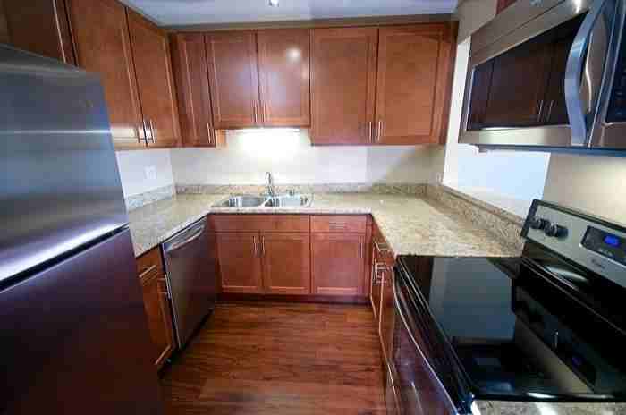 175 North Harbor Drive #0313