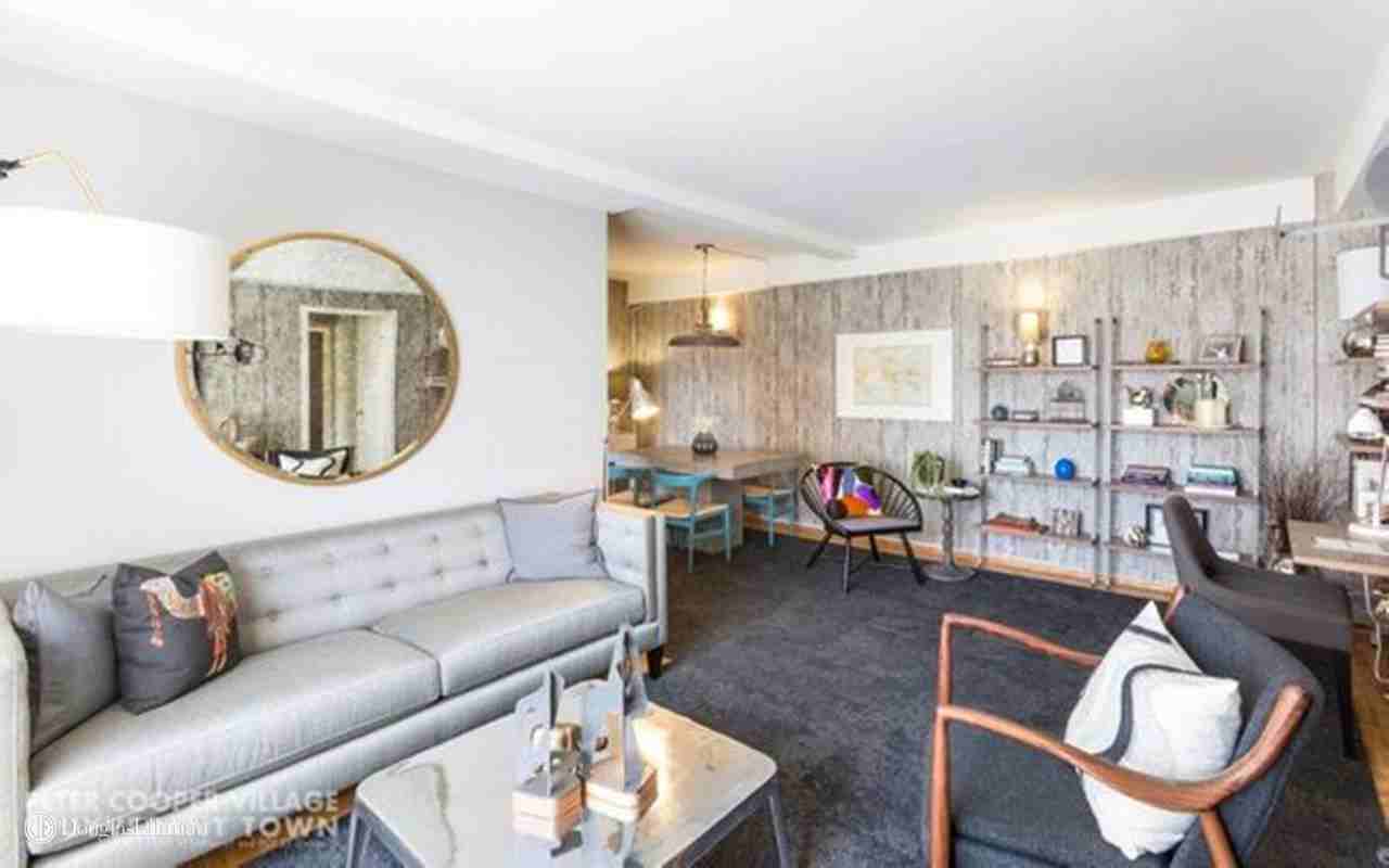 8 Stuyvesant Oval & E 17th #10H