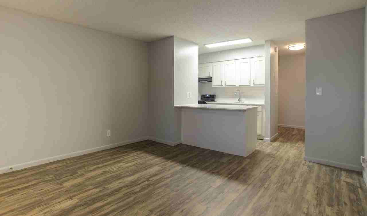 Mesh III - Photo 4 of 9