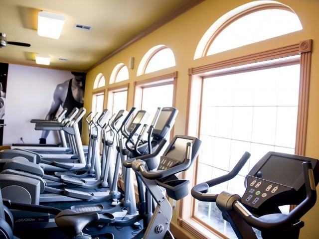 Vie at Muncie - Photo 3 of 19