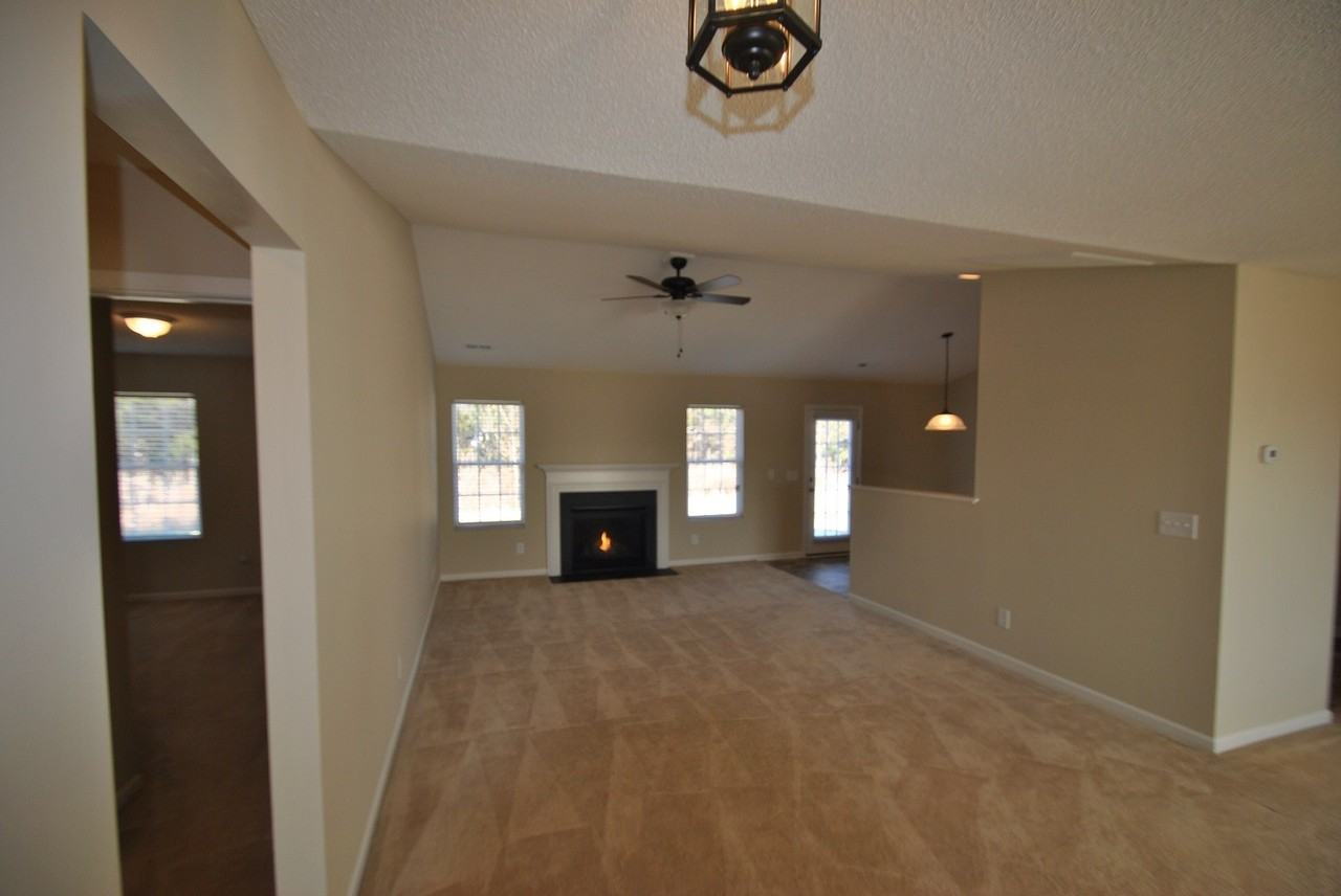 1517 Daisy Park Dr - Photo 2 of 5