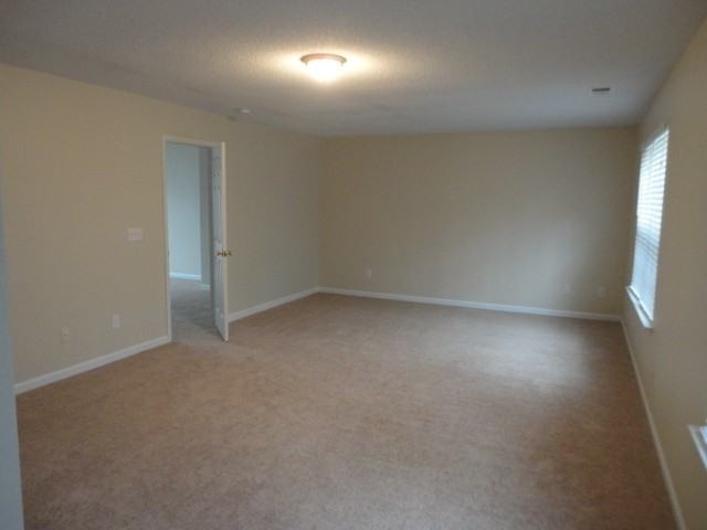 520 Birchtree Valley Ct - Photo 2 of 15