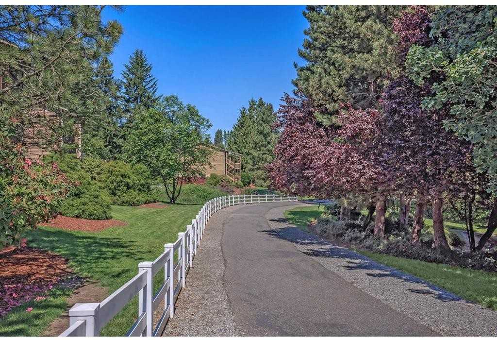 Tamaron Ranch - Photo 2 of 18