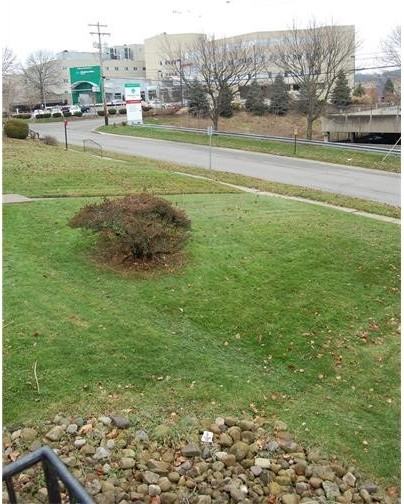 1328 Carlisle St - Photo 3 of 24