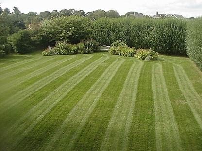 531 Mecox Road - Photo 2 of 7