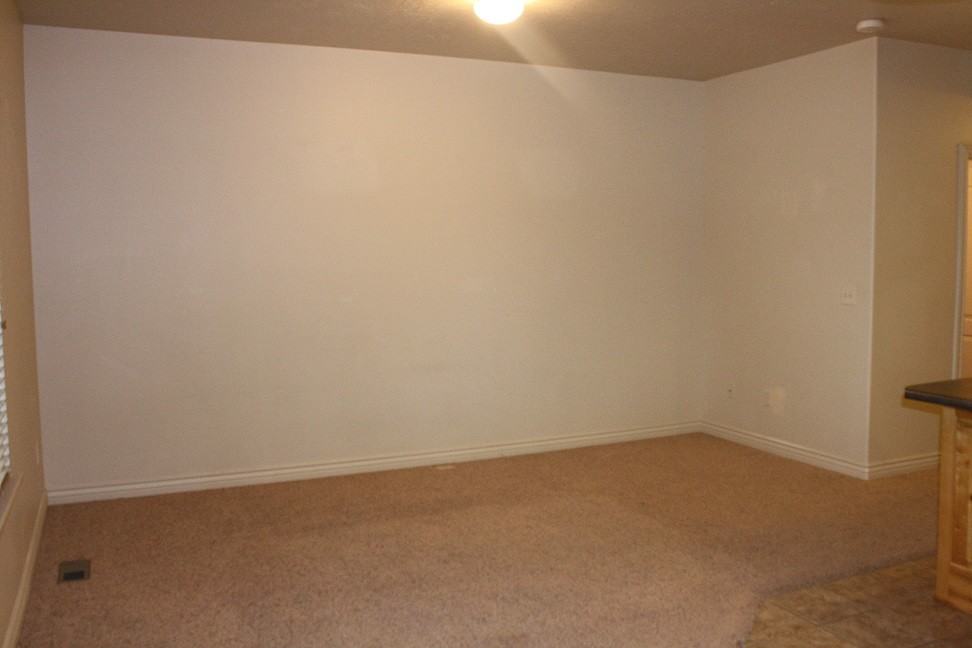 3876 Scarlet Sage Way - Photo 3 of 9