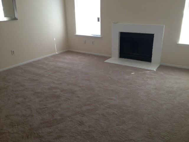 1131 Dallas Dr - Photo 3 of 12