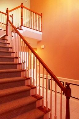 617 Maple Grove Way - Photo 3 of 23