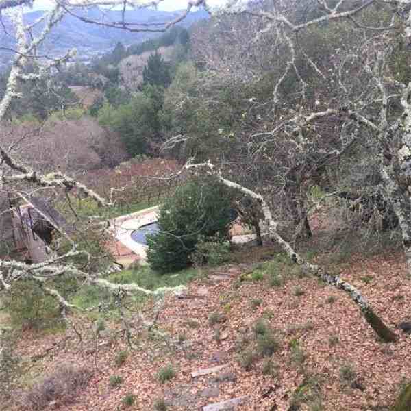 351 Wall Road - Photo 2 of 10