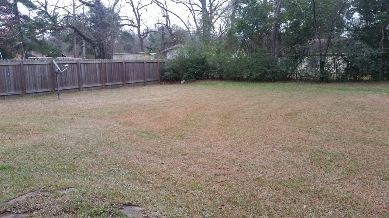 702 Clay Ave - Photo 2 of 10