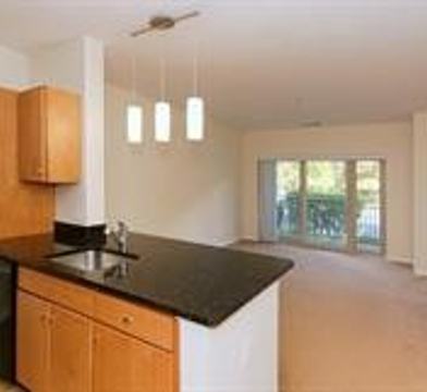 5 Repton Place 5106 Watertown Town Ma 02472 1 Bedroom Apartment For Rent For 1 900 Month Zumper