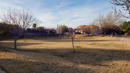 3011 W Corte Olivia - Photo 2 of 11