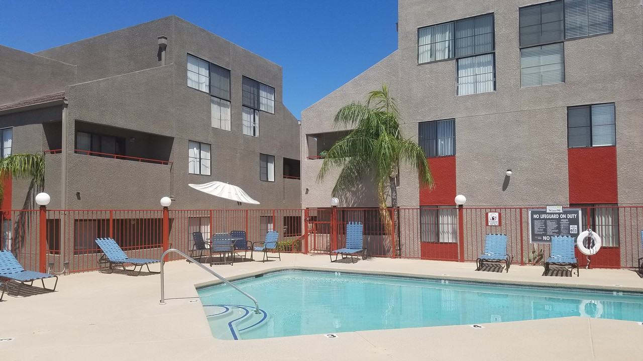 990 East River Road, Tucson, AZ 85718 1 Bedroom Apartment for Rent