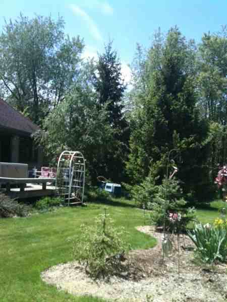 Belding Road & Fox Meadow - Photo 3 of 7