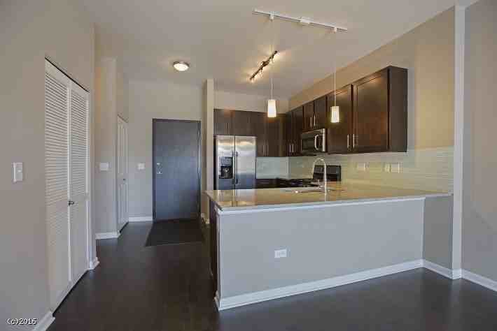 2306 S Michigan Ave 2158 - Photo 2 of 10