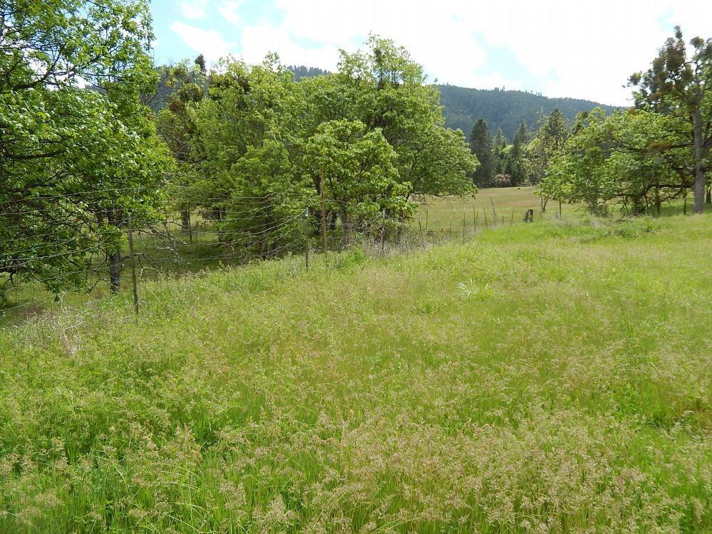 5870 Dark Hollow Rd - Photo 2 of 14