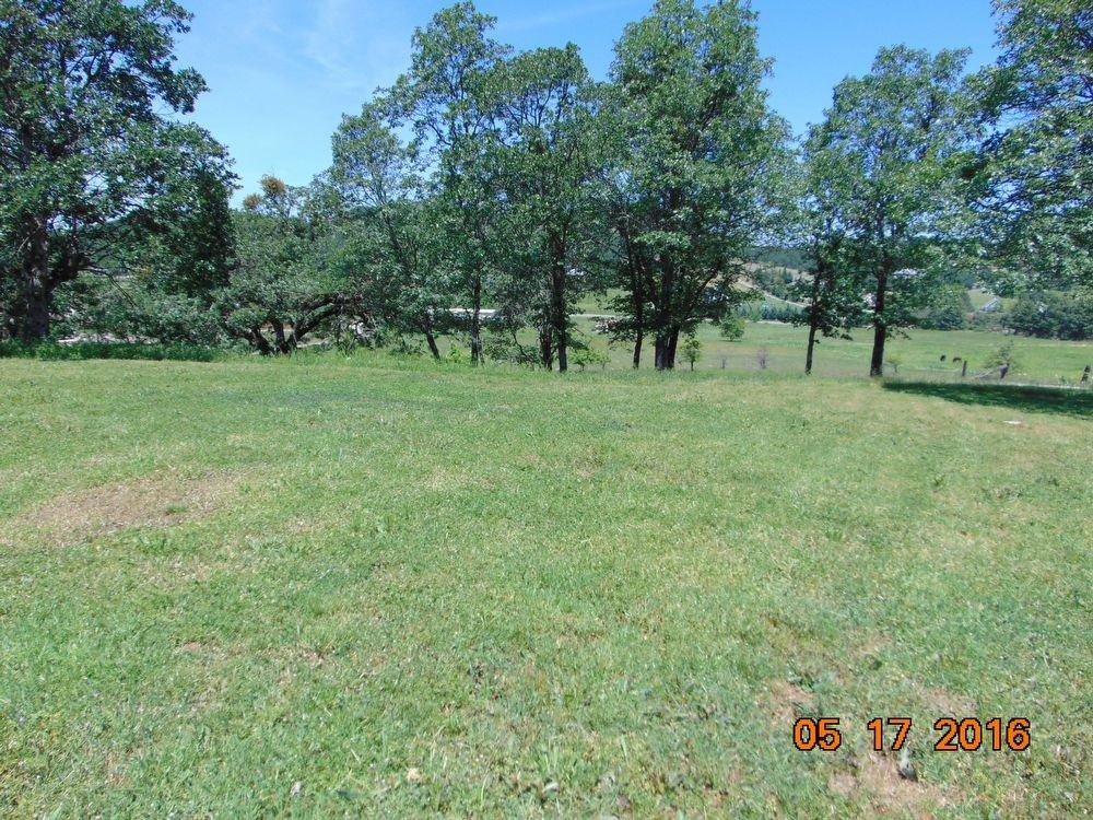 5870 Dark Hollow Rd - Photo 3 of 14