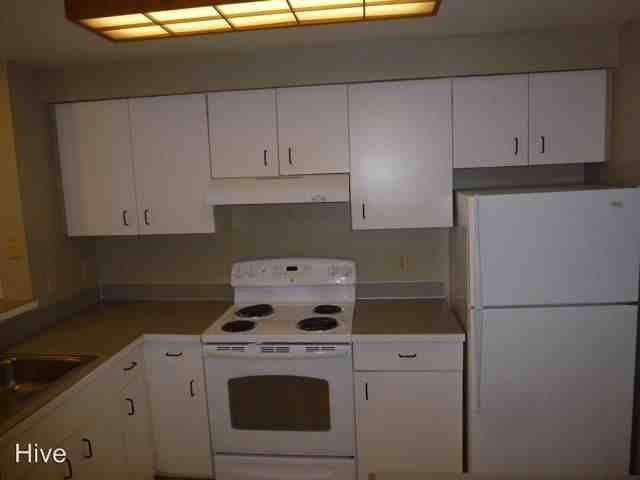 4459 Fremont Ave N - Photo 2 of 13