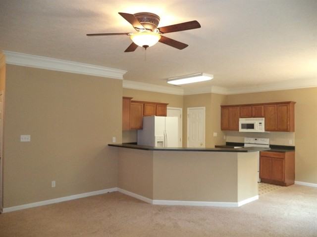 107 Rolling Stone Ln - Photo 3 of 10