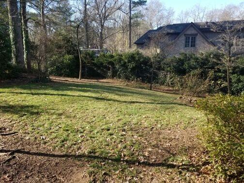 1517 Duplin Rd - Photo 3 of 14