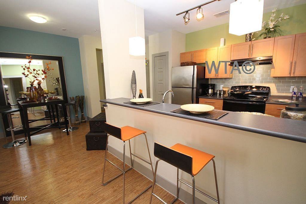 Direct Access to Lady Bird Lake & Hike/Bike Trail - Photo 3 of 10