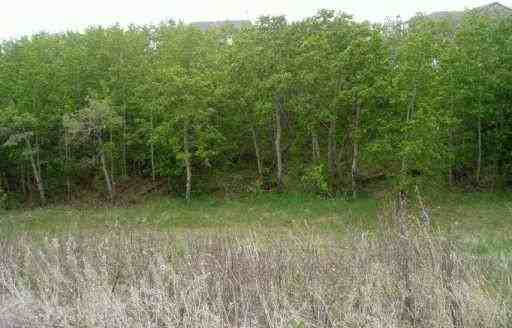 305 Citadel Point NW - Photo 3 of 3