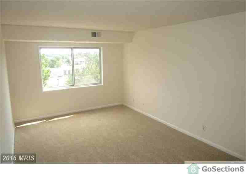 12001 Old Columbia Pike - Photo 3 of 10
