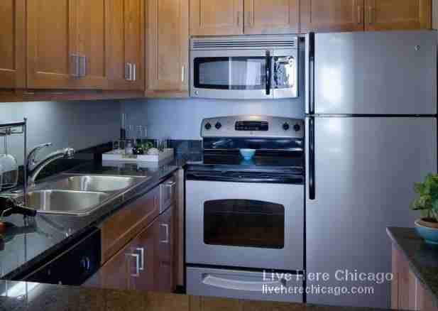 200 Block East Upper Wacker Drive #CONV - Photo 3 of 7