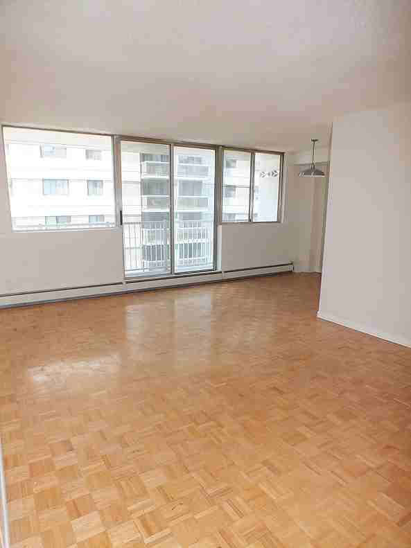 230 Gloucester St - Photo 3 of 12