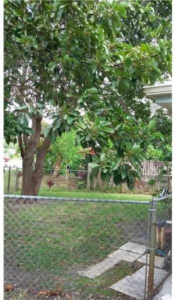 5741 Douglas St - Photo 3 of 3