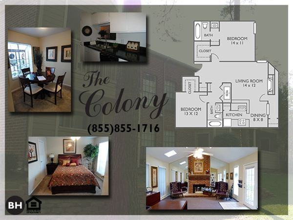 The Colony - Photo 3 of 4