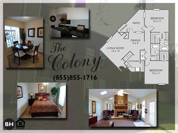 The Colony - Photo 2 of 4