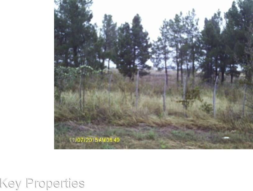 1801 Poe Prairie Rd - Photo 3 of 20