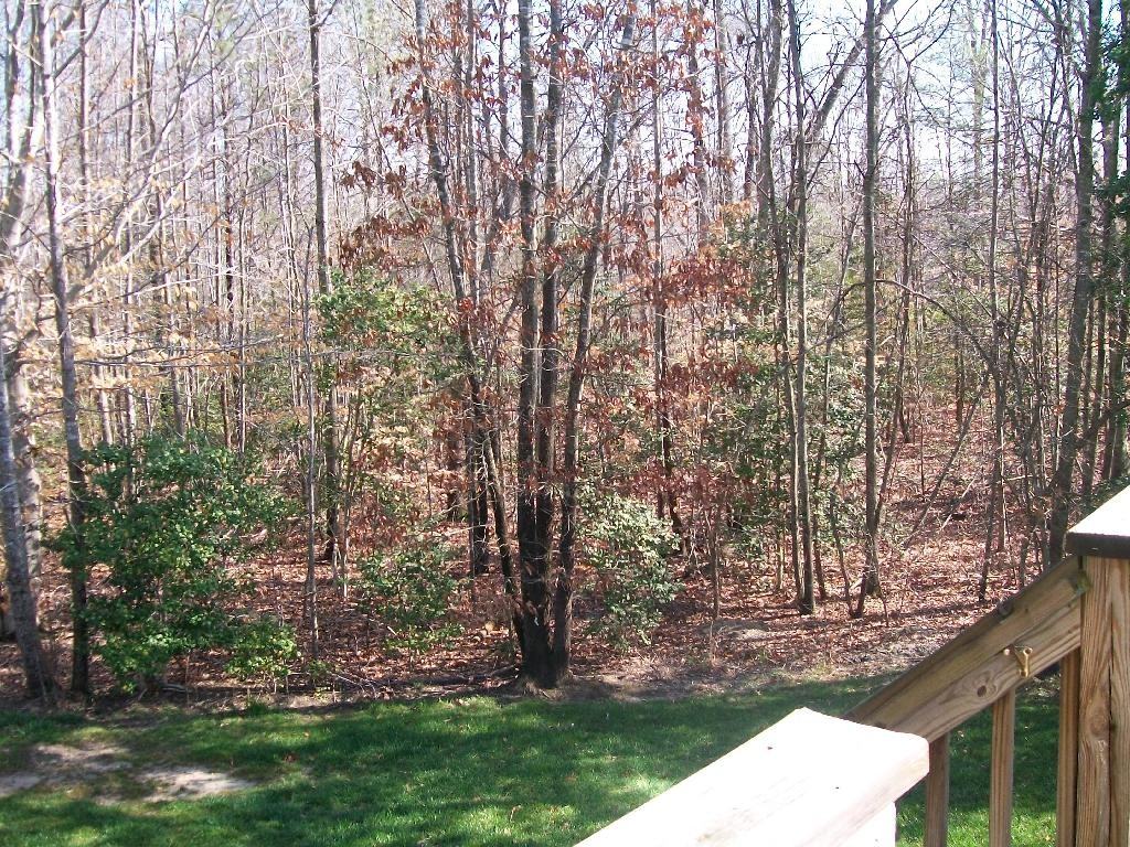 5105 Nuthall Pl - Photo 3 of 15