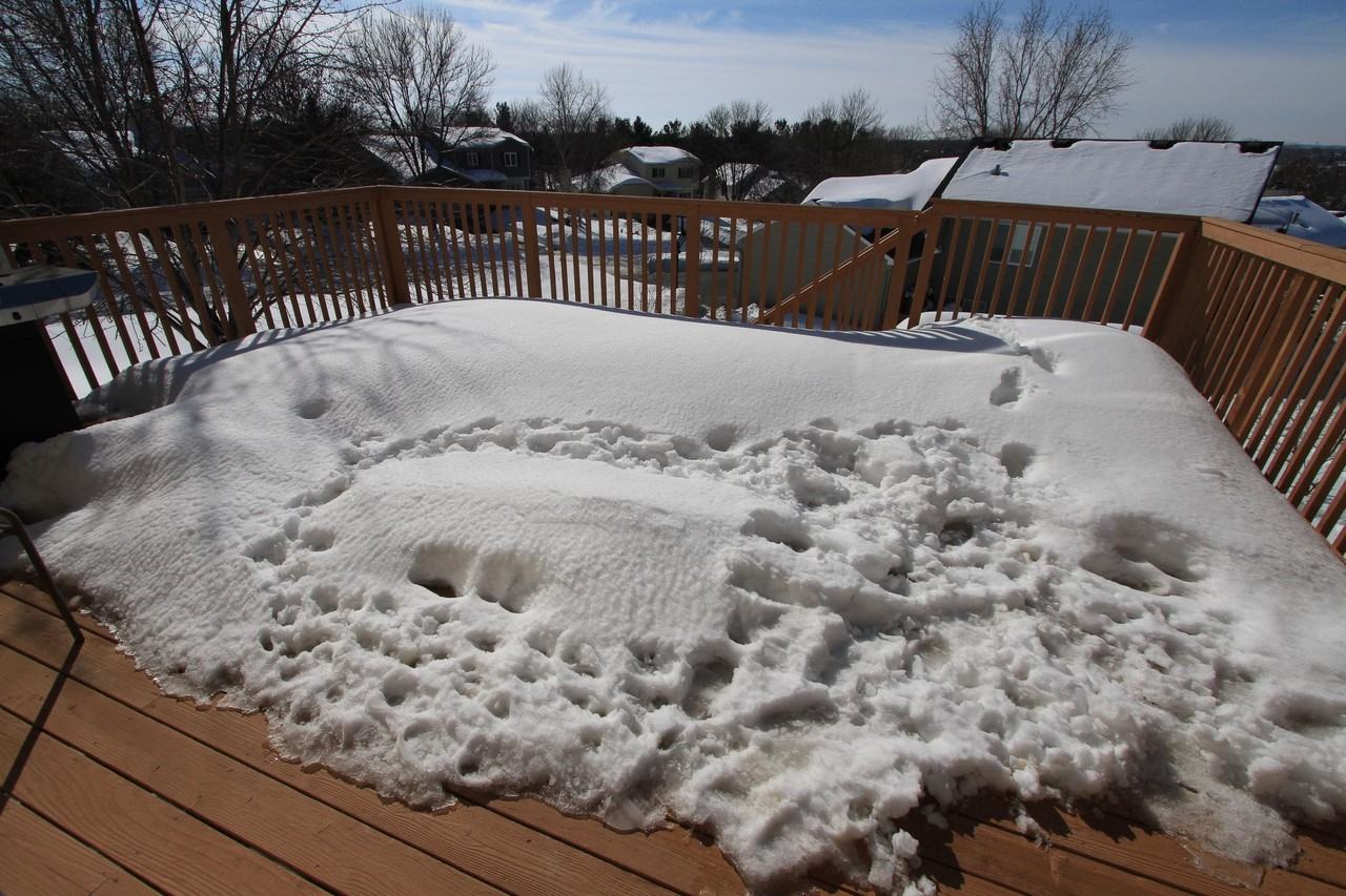 14110 Dearborn Path - Photo 2 of 15