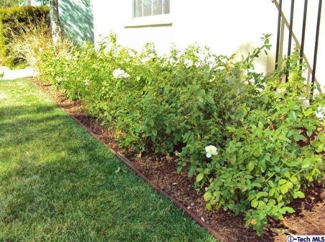 1987 E Crary St - Photo 3 of 19